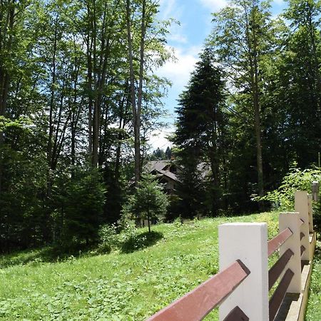 Alpin Residence Sinaia Exteriér fotografie