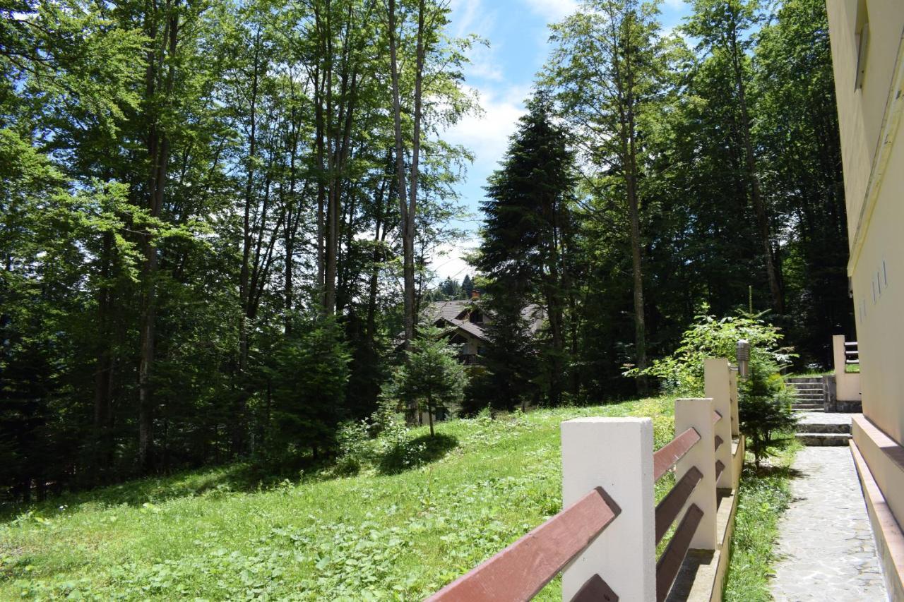 Alpin Residence Sinaia Exteriér fotografie